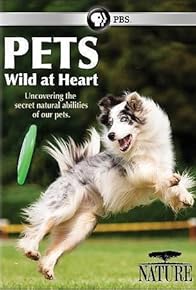 Primary photo for Pets: Wild at Heart