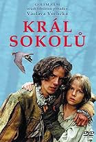 Král sokolu (2000)