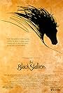 The Black Stallion (1979)