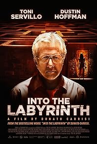 Primary photo for Into the Labyrinth