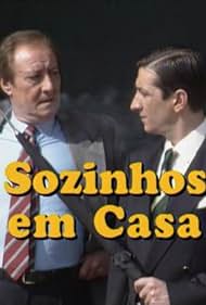 Sozinhos em Casa (1993)