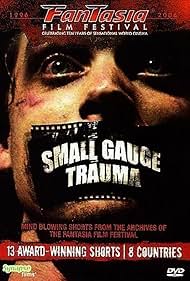 Small Gauge Trauma (2006)