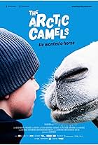 The Arctic Camels (2019)