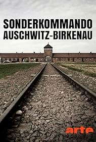 Sonderkommando Auschwitz-Birkenau (2008)