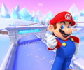 MKT Icon SnowLandGBA Mario.png