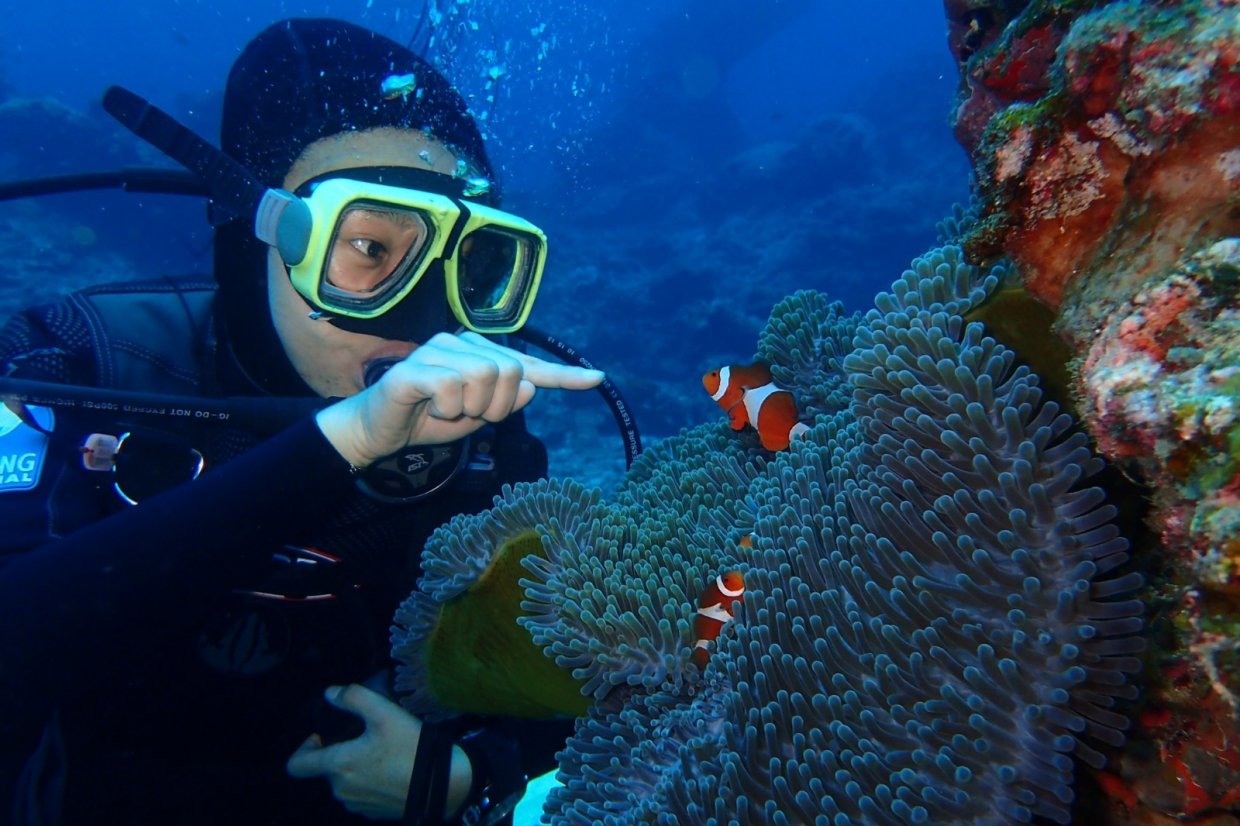 2020全台＋離島潛水景點大搜密！潛進海底探訪迷人的花花世界