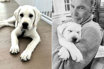 Kevin Costner new puppy instagram