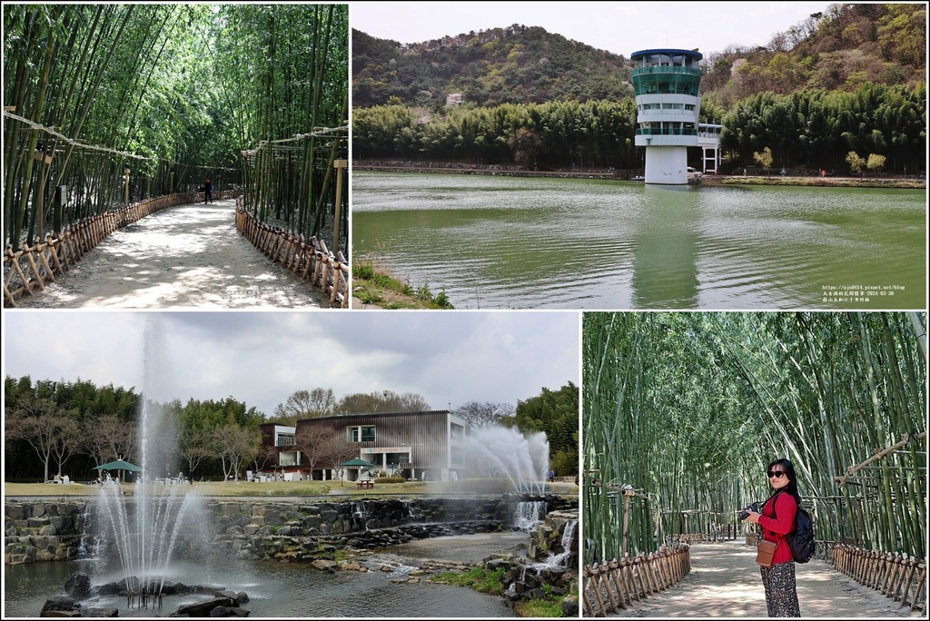 韓國,蔚山,韓國景點,蔚山景點,蔚山太和江國家庭園,太和江國家庭園,十里竹林,太和江十里竹林,蔚山十二景