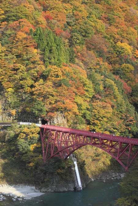 Seasonal Highlights Autumn in Toyama