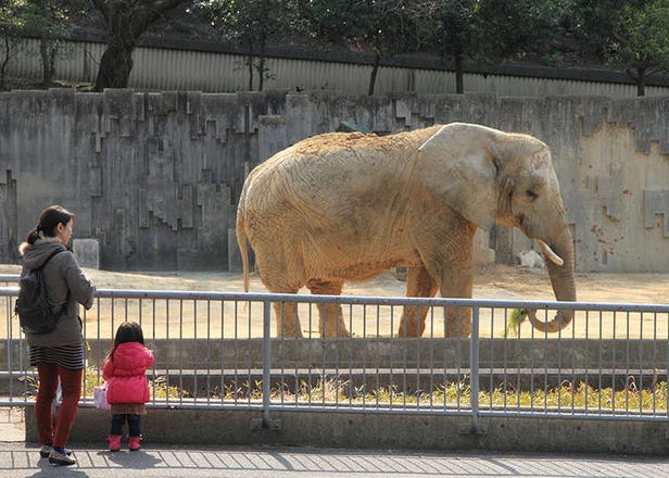 動物園・水族館