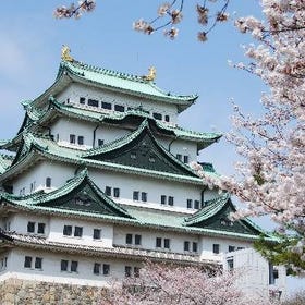 德川園 & 名古屋城賞櫻徒步一日遊
▶點擊預約
圖片提供：Klook