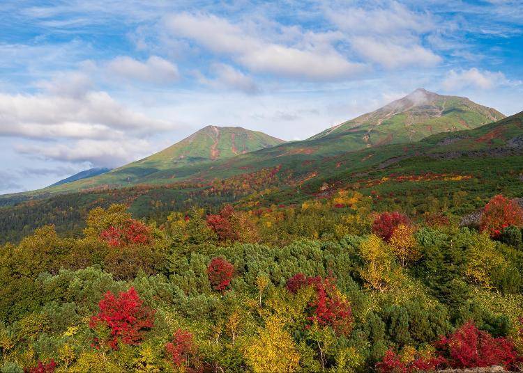 十勝山群