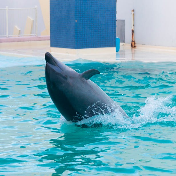 動物園、植物園、水族館