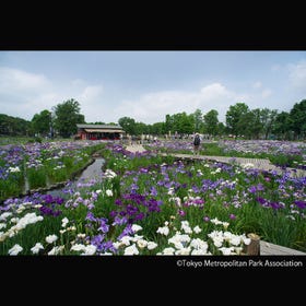 Mizumoto Park