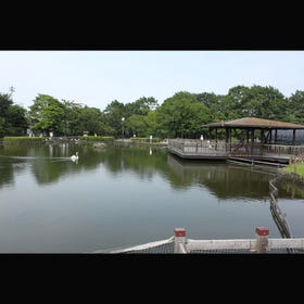 Arakawa Nature Park