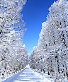 北海道機票