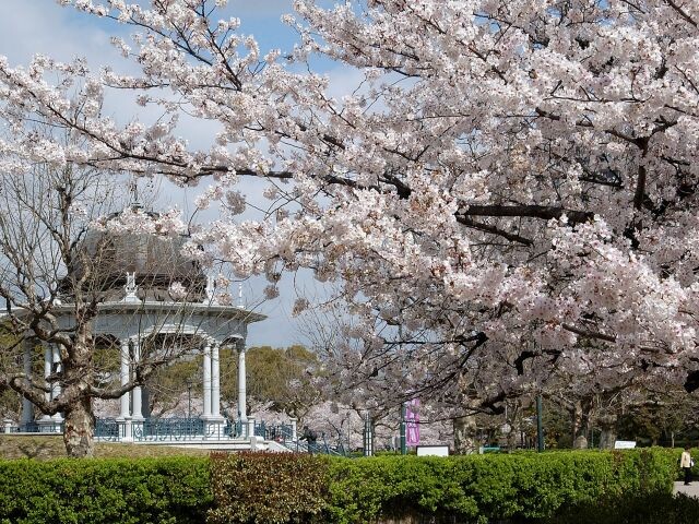 鶴舞公園