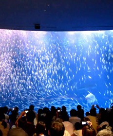 名古屋港水族館