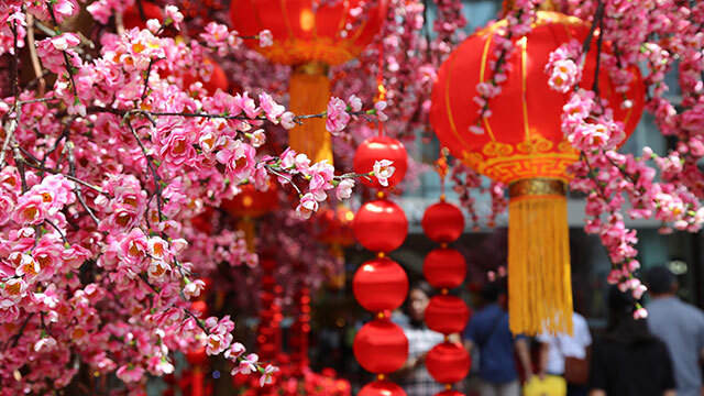 Cherry blossoms and Chinese lantern for Chinese New Year