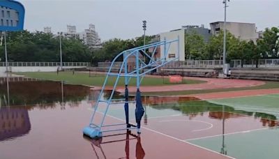 台中大雨狂襲炸出小水池 運動公園田徑場撈出蝌蚪、青蛙