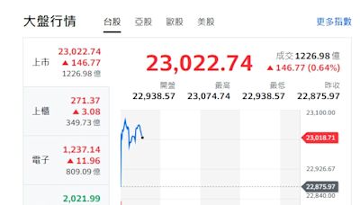 台股早盤回彈23000點 分析師：觀察只漲台積或雨露均霑