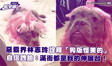 惡霸界林志玲詮釋「狗版怪美的」 自信跩臉：滿街都是我的伸展台！