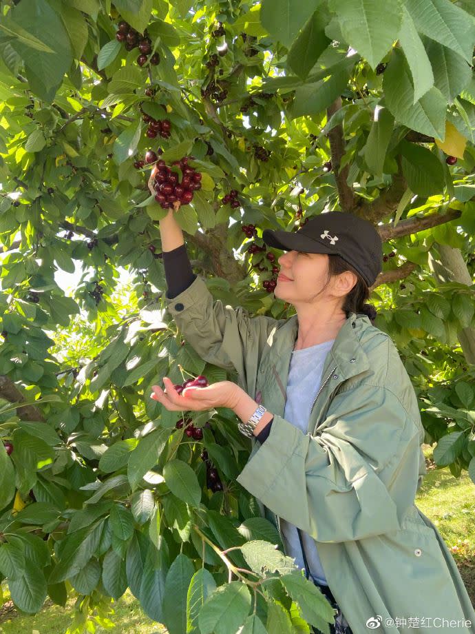 鍾楚紅近年來生活離不開爬山。（圖／翻攝自微博）