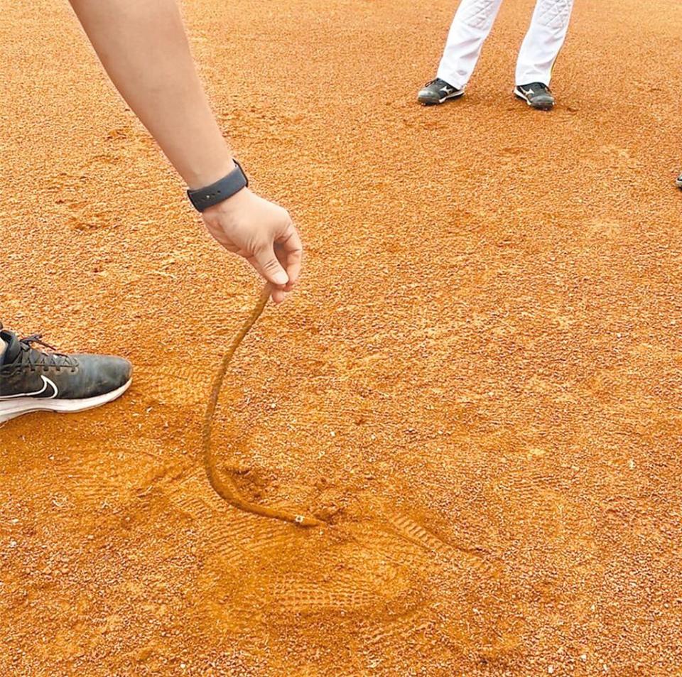高雄澄清湖棒球場4月24日比賽期間發現有鐵條插在一壘壘包邊，引起全國熱議，如今調查報告正式出爐。（資料照片）