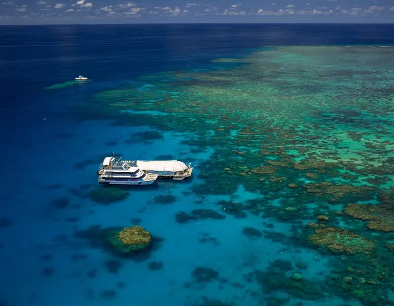 Great Barrier Reef Snorkeling Cruise and Underwater Observatory from Cairns. (Photo: Klook SG)