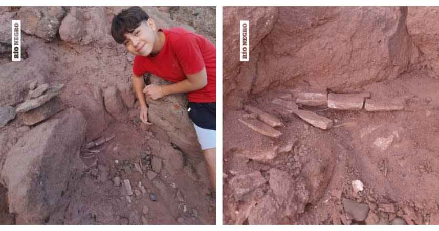 阿根廷男童在阿公家院子玩意外發現恐龍化石。（圖／翻攝自Museo Municipal del Desierto Patagónico de Añelo臉書）