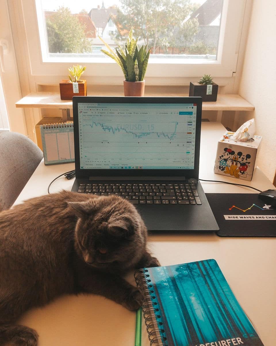 TradingView Chart sur @trade_surfer Instagram