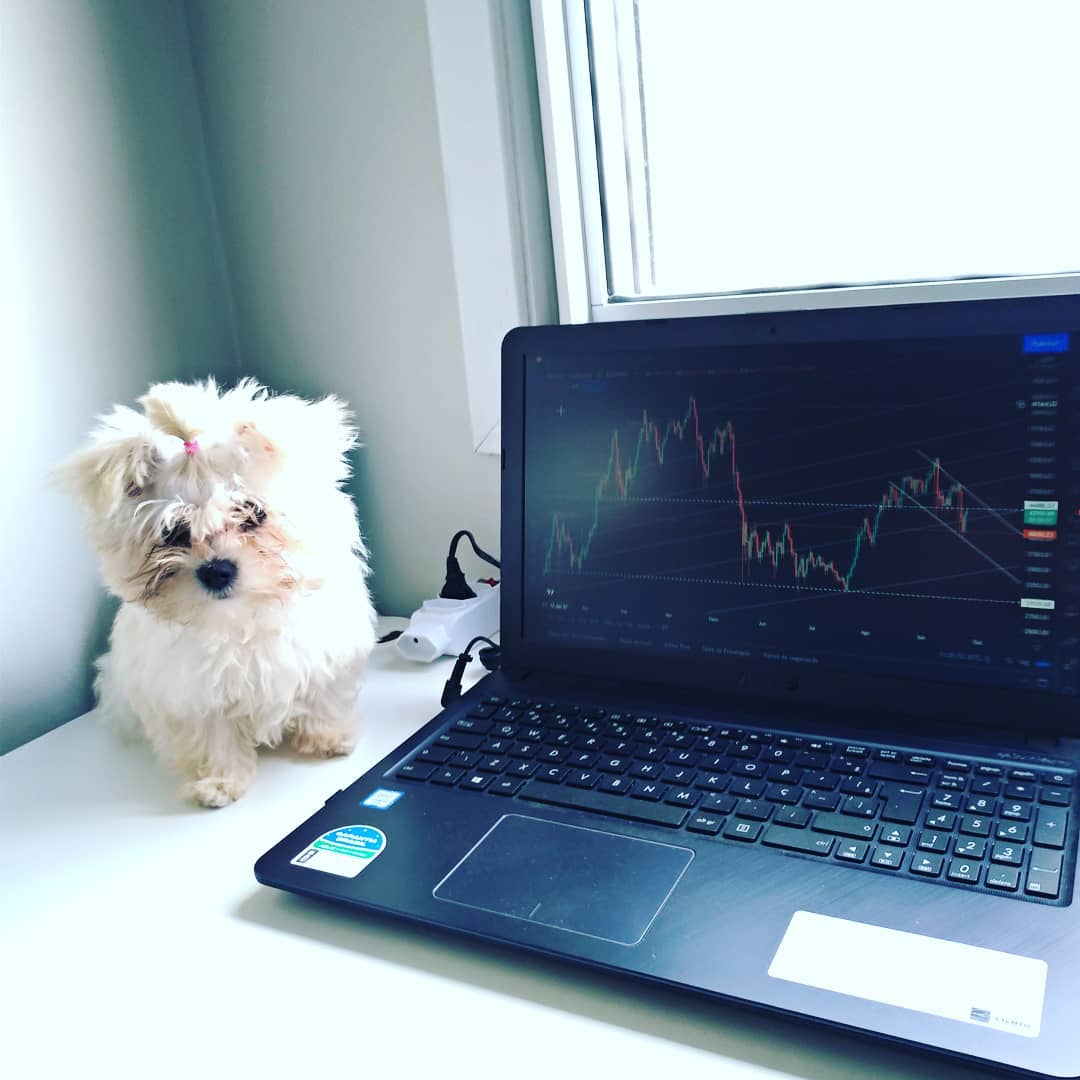 TradingView Chart bei Instagram @ocasalinveste