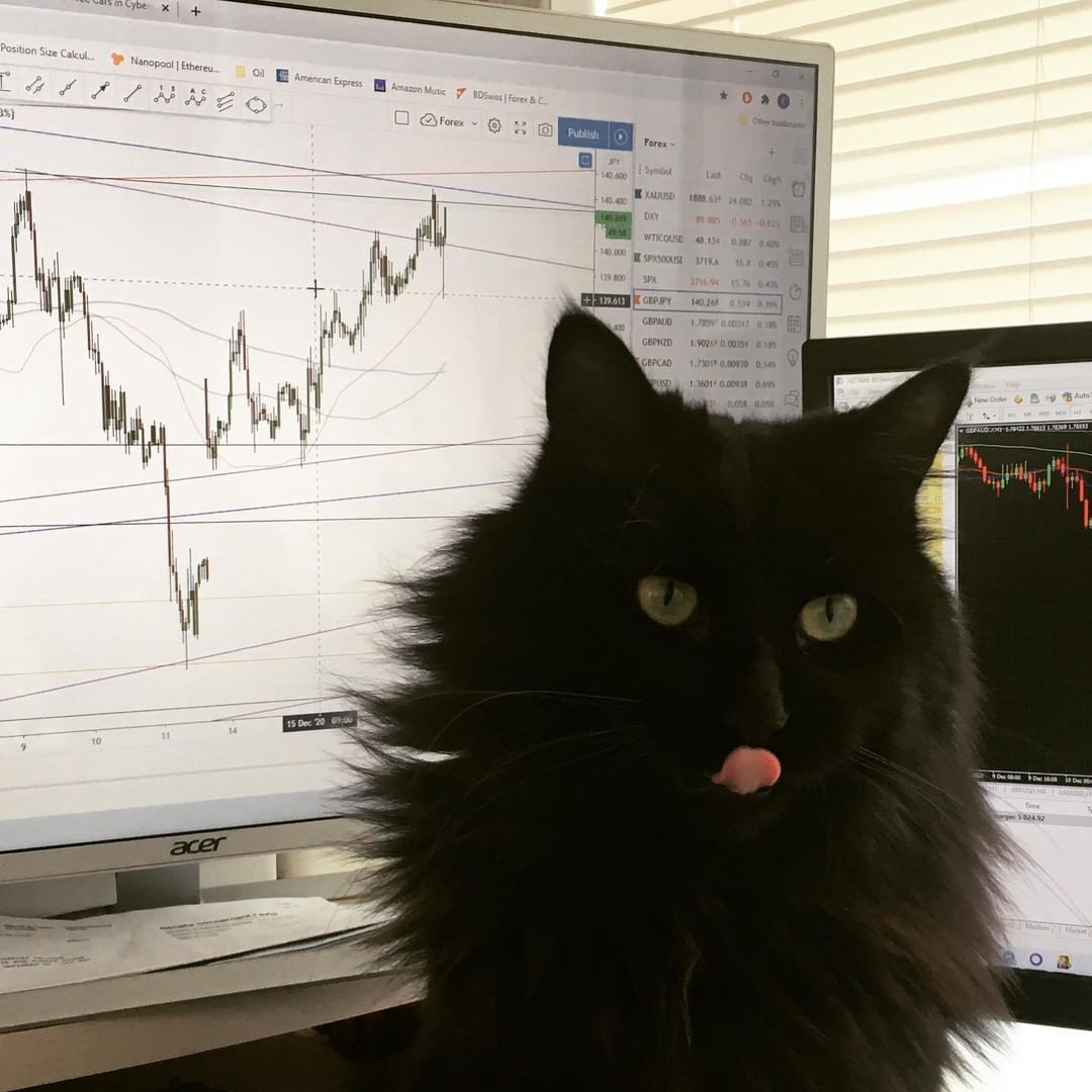 Instagram上的TradingView圖表@chuckindex