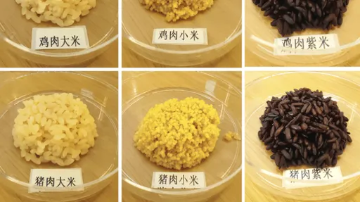 我到底吃了什麼？中國研發出科技「豬肉米」　看起來像米聞起來像豬肉