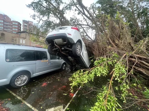 台风大雨基隆灾情不断！轿车被砸到「翘起来」　员警持续救灾