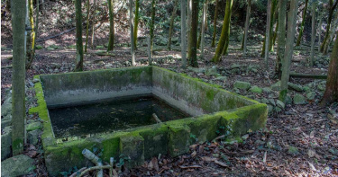 1-1	果園往往會興建蓄水池作為灌溉之用，但果園廢棄之後，往往不會將其填平或敲毀，蓄水池也因而成為動物們的致命陷阱。（圖／Grandis Liou提供）