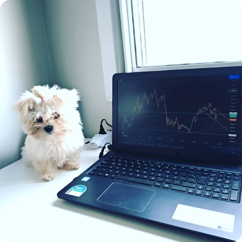 Instagram上的TradingView圖表@ocasalinveste