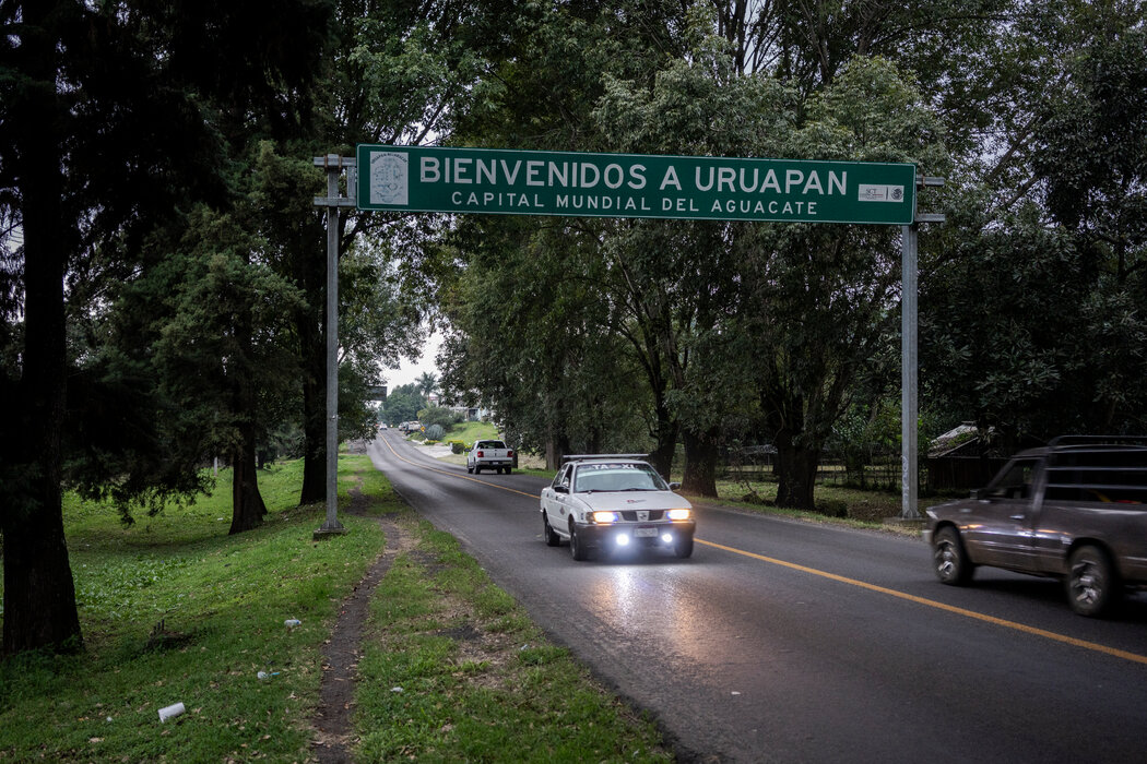 小镇入口的标牌上写着“欢迎来到世界牛油果之都——乌鲁阿潘”。目前墨西哥占据了美国进口牛油果总量90%的份额。