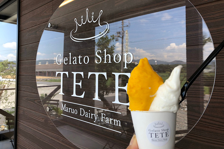 Gelato Shop TETE