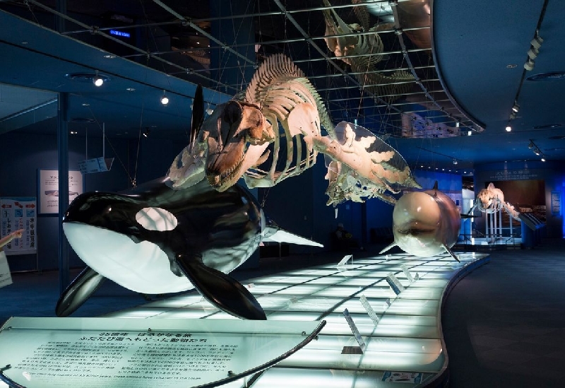 名古屋港水族館