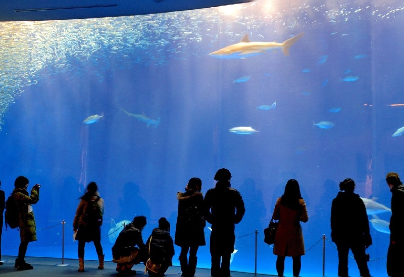 名古屋港水族館