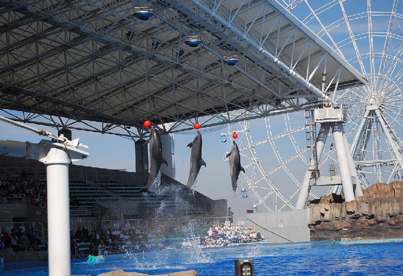 名古屋港水族館