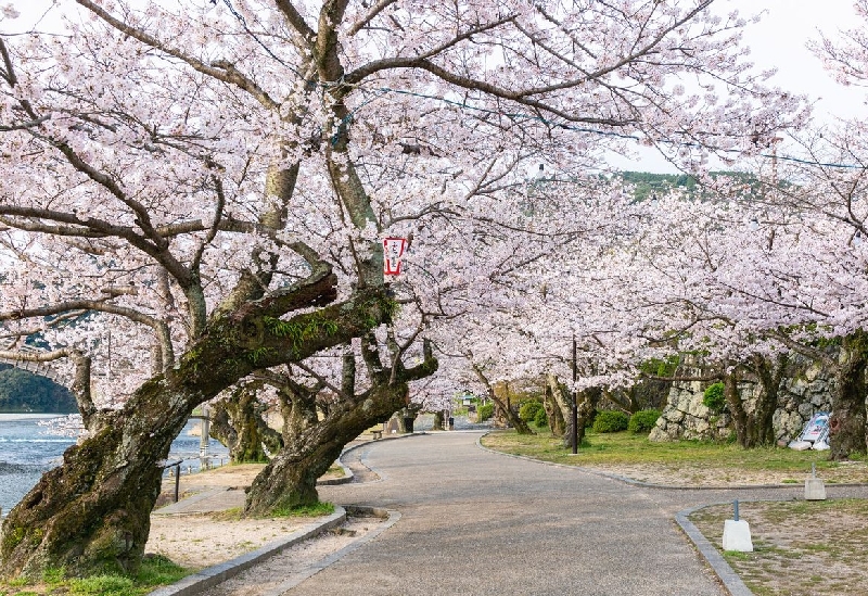 錦帯橋