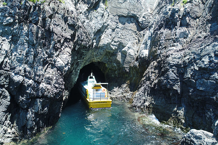 青海島観光汽船