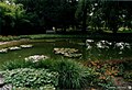 English: Zagreb Botanical Garden on Mihanovićeva Street Hrvatski: Zagrebački botanički vrt u Mihanovićevoj