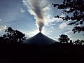 Mayon