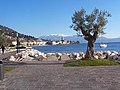 Lago di Garda and the Alps as background