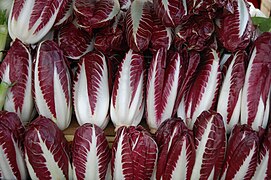 Radicchio di Treviso