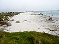 Plounéour-Trez : la plage du Lividic vue depuis Beg an Toullou