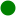 Location dot green.svg